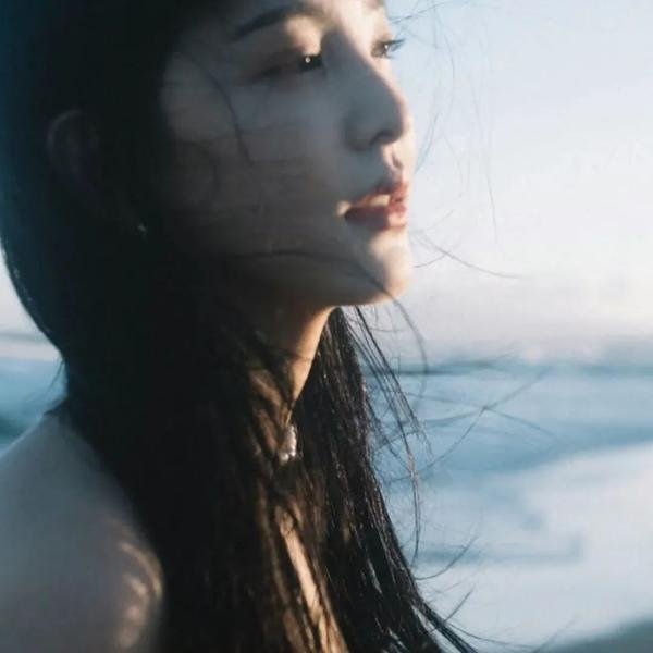精武风云.陈真